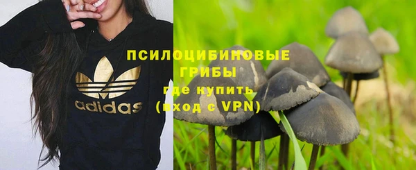 соль курить ск Дмитров