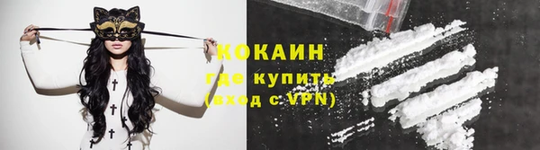ПСИЛОЦИБИНОВЫЕ ГРИБЫ Ельня
