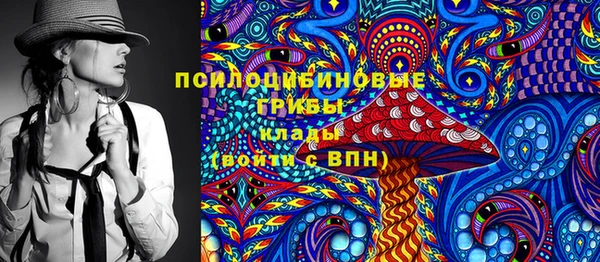 ПСИЛОЦИБИНОВЫЕ ГРИБЫ Ельня