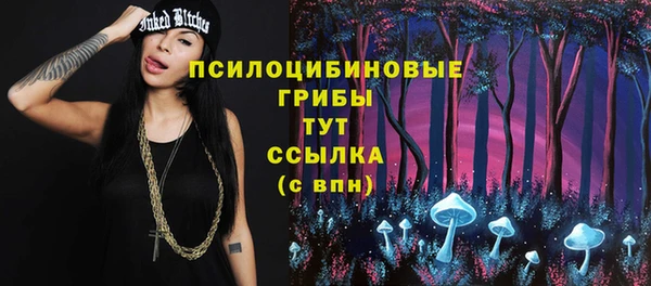 спиды Дмитриев