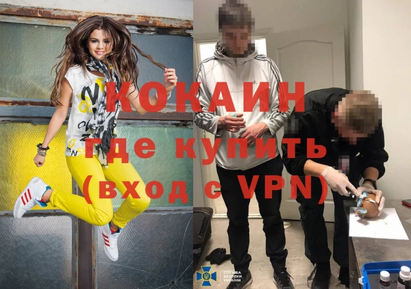мяу мяу мука Дмитровск