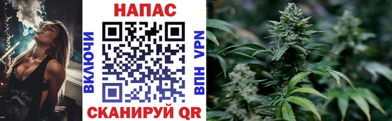 Канабис THC 21%  сколько стоит  Торопец 